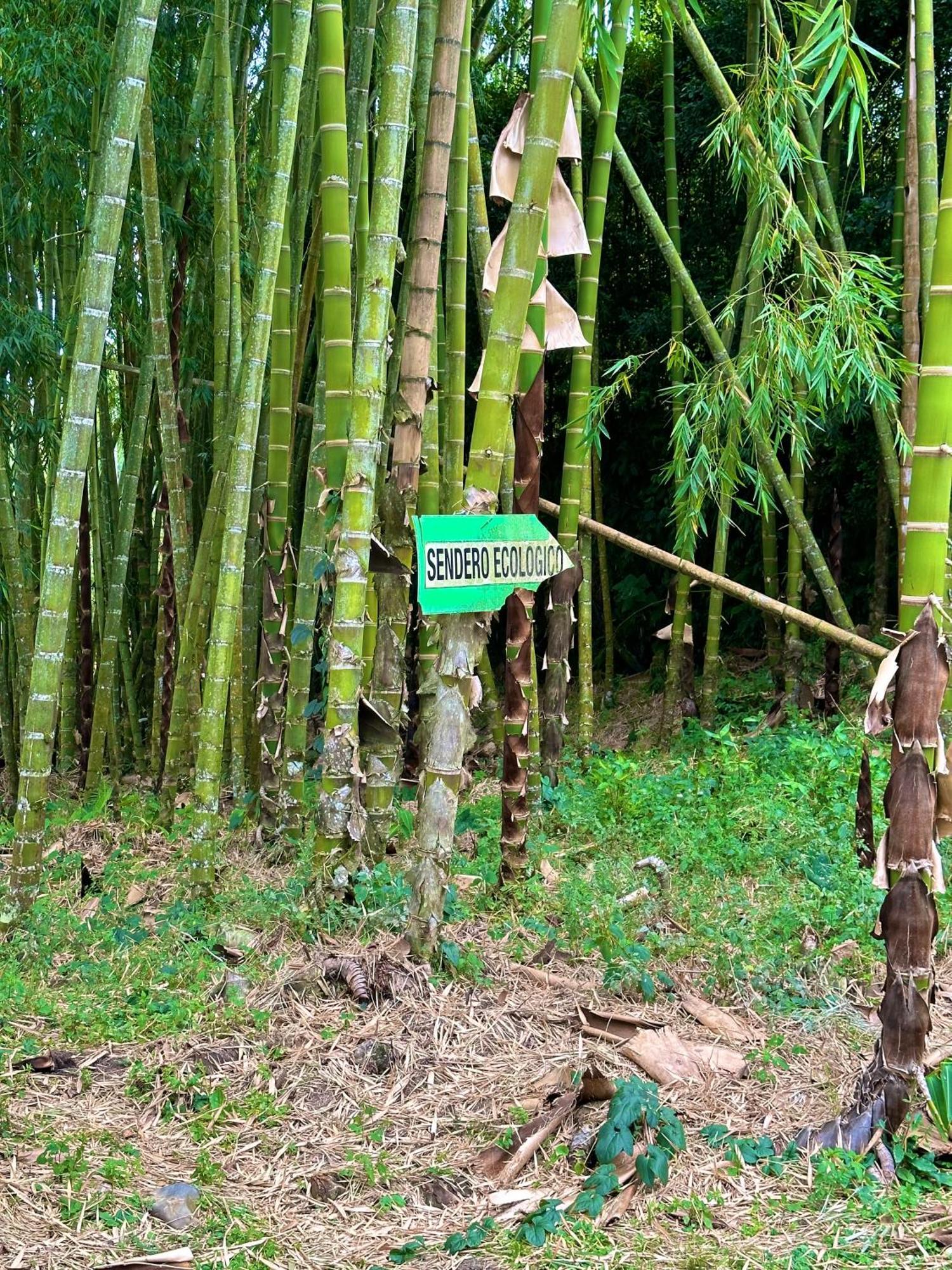Eco Hotel La Selecta Pereira Eksteriør bilde